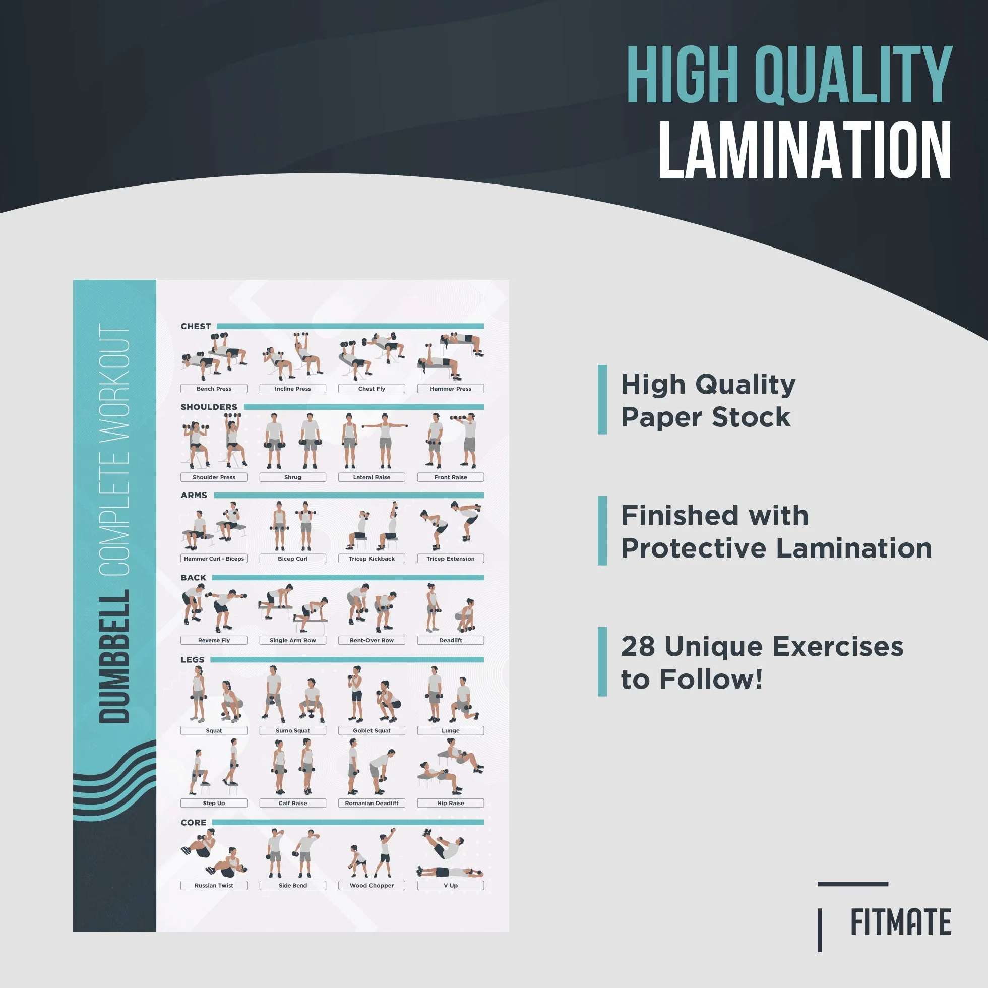 FitMate Poster per esercizi con manubri e pesi gratuiti 42 x 63 cm decorazione palestra casa