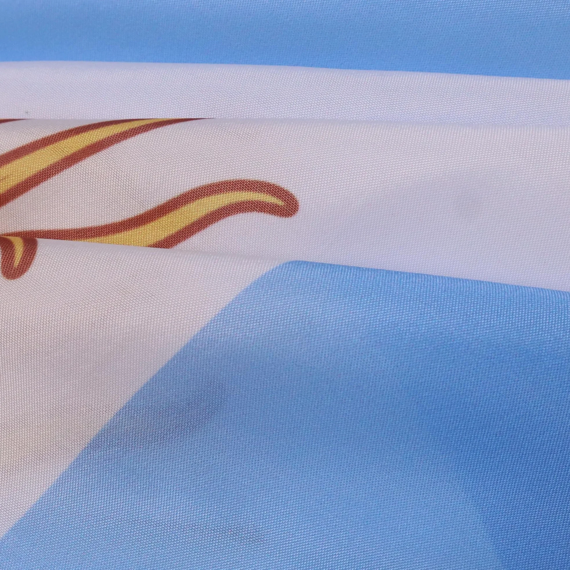 AZ FLAG Bandiera Argentina 150x90 cm 100% Poliestere con Maniche Integrate